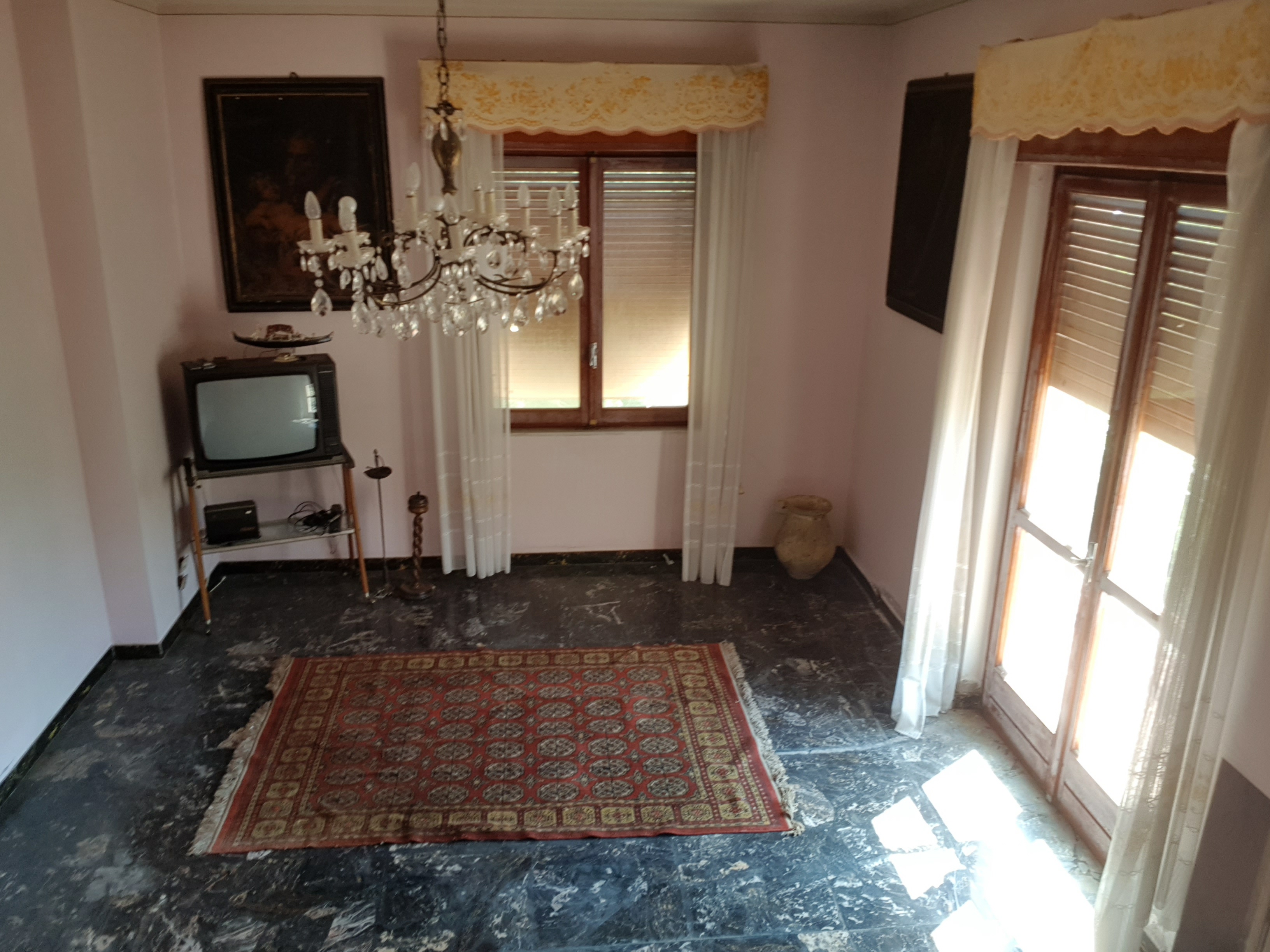 Living room with oriental rug